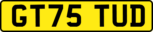 GT75TUD