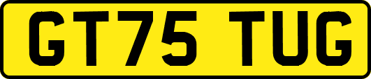 GT75TUG