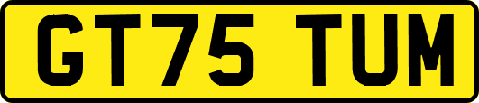 GT75TUM