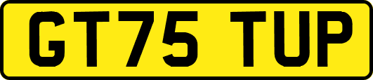 GT75TUP