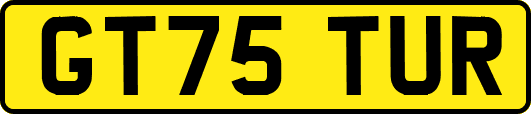 GT75TUR