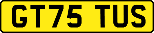 GT75TUS