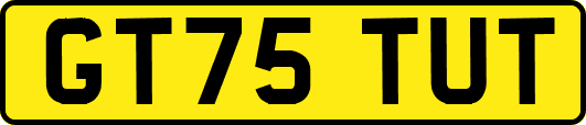 GT75TUT