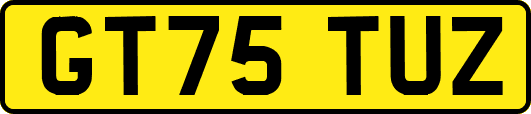 GT75TUZ
