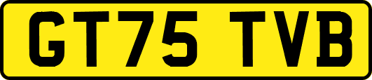 GT75TVB