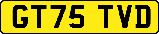 GT75TVD