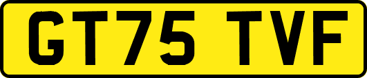 GT75TVF