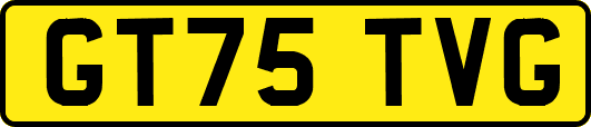 GT75TVG