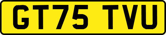 GT75TVU