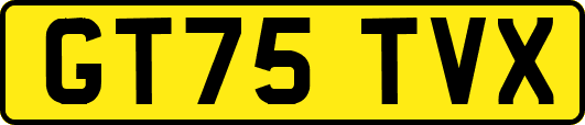 GT75TVX