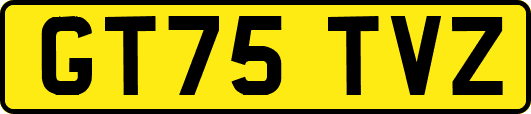 GT75TVZ