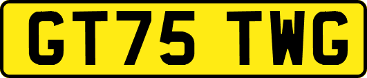 GT75TWG