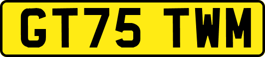 GT75TWM