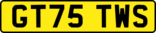 GT75TWS