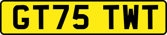 GT75TWT