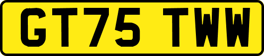 GT75TWW
