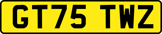 GT75TWZ