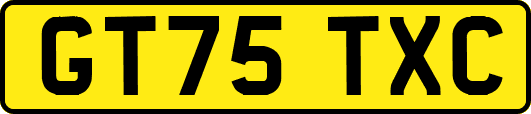 GT75TXC