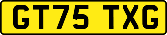 GT75TXG