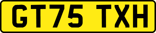 GT75TXH