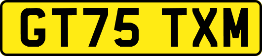 GT75TXM