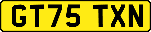 GT75TXN