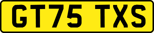 GT75TXS