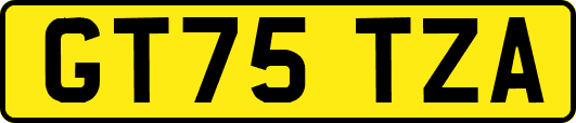 GT75TZA