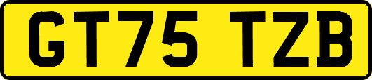 GT75TZB