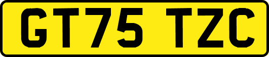 GT75TZC