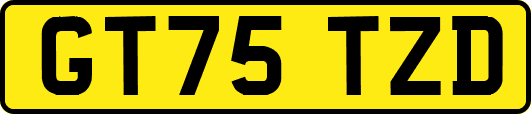 GT75TZD