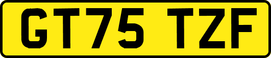 GT75TZF