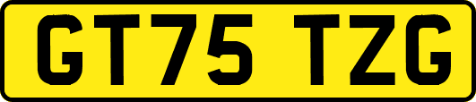 GT75TZG