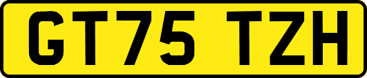 GT75TZH