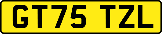GT75TZL