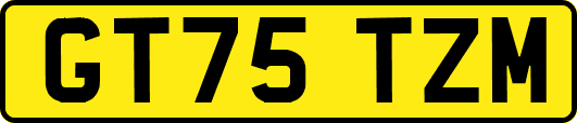 GT75TZM