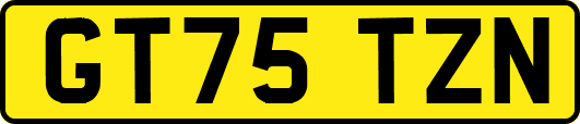 GT75TZN