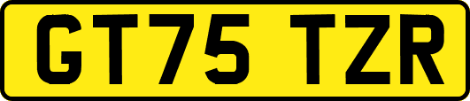 GT75TZR