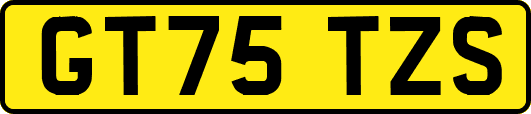 GT75TZS