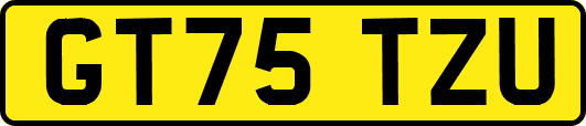 GT75TZU