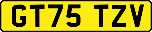 GT75TZV