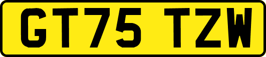 GT75TZW