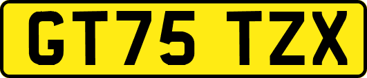 GT75TZX