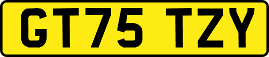 GT75TZY