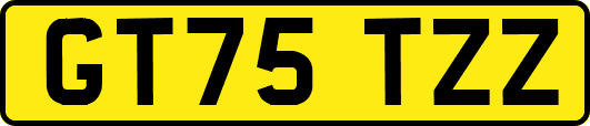 GT75TZZ