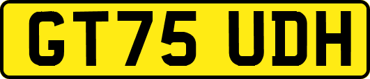 GT75UDH
