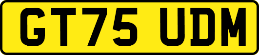 GT75UDM