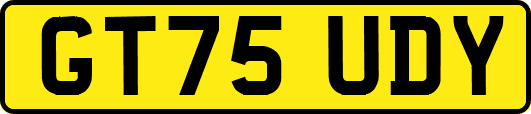 GT75UDY