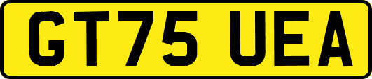 GT75UEA