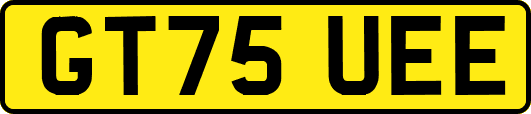 GT75UEE